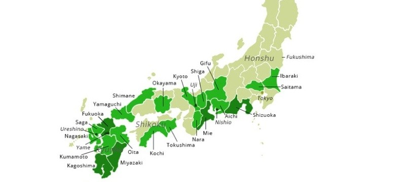 Green Tea Regions in Japan